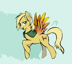 Size: 700x623 | Tagged: safe, artist:featherhead, derpibooru import, ponified, pegasus, pony, hetalia, image, jpeg, male, poland, solo