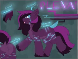 Size: 4616x3520 | Tagged: safe, derpibooru import, oc, oc:plexa, unofficial characters only, earth pony, pony, floating hair, glow, heart butt, image, multicolored eyes, multicolored mane, multicolored tail, png, raised tail, reference sheet, solo, tail, two toned coat