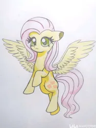 Size: 1368x1824 | Tagged: safe, artist:nfc100%ponies, derpibooru import, fluttershy, image, png, simple background, solo