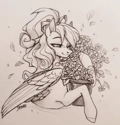 Size: 1010x1052 | Tagged: safe, artist:sparkling_light, derpibooru import, oc, unofficial characters only, pegasus, pony, female, flower pot, image, mare, pegasus oc, png, solo, traditional art, wings