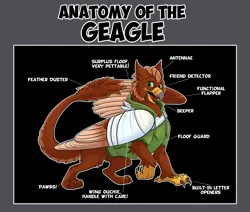 Size: 3812x3228 | Tagged: safe, artist:likeshine, derpibooru import, oc, oc:pavlos, gryphon, anatomy, bandage, beak, broken bone, broken wing, cast, cheek fluff, claws, clothes, colored wings, commission, diagram, eared griffon, griffon oc, hoodie, image, injured, labels, male, non-pony oc, png, sling, tail, wings