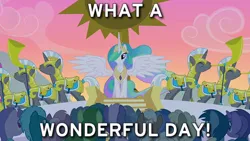 Size: 640x360 | Tagged: safe, derpibooru import, edit, edited screencap, screencap, princess celestia, alicorn, earth pony, pegasus, pony, unicorn, season 1, the cutie mark chronicles, caption, female, g4, horn, image, image macro, male, mare, meme, movie quote, movie reference, planet of the apes, png, royal guard, stallion, summer sun celebration, text