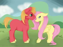Size: 4096x3010 | Tagged: safe, artist:rosario-red, artist:rosario_red_art, derpibooru import, big macintosh, fluttershy, earth pony, pegasus, pony, absurd resolution, blushing, cloud, day, duo, duo male and female, female, finished, floppy ears, fluttermac, folded wings, grass, height difference, hill, image, jpeg, long mane, long tail, looking away, male, mare, missing accessory, missing cutie mark, mountain, outdoors, shading, shipping, shy, signature, sky background, smiling, stallion, straight, tail, unshorn fetlocks, wings, wip