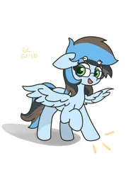 Size: 3000x4000 | Tagged: artist needed, safe, derpibooru import, oc, oc:azure sink, unofficial characters only, pegasus, pony, glasses, image, looking at you, png, solo