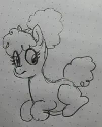 Size: 1650x2048 | Tagged: safe, artist:pony quarantine, derpibooru import, oc, unofficial characters only, earth pony, pony, doodle, female, grayscale, image, jpeg, lying down, mare, monochrome, pen drawing, prone, solo, traditional art
