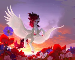 Size: 5000x4000 | Tagged: safe, artist:yanisfucker, derpibooru import, oc, unofficial characters only, pegasus, pony, absurd resolution, backlighting, belly, colored hooves, cornflower (flower), ear fluff, fangs, flower, flower field, flower in hair, flying, image, large wings, lighting, looking down, low angle, petunia (flower), png, poppy, shading, sky, slender, solo, sunset, thin, tulip, wind, windswept mane, wings