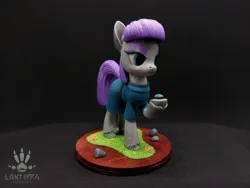 Size: 2560x1920 | Tagged: safe, alternate angle, alternate version, artist:lakterra, derpibooru import, maud pie, earth pony, pony, boulder (g4), clothes, craft, duo, female, figurine, frock coat, g4, grass, hoof hold, image, irl, jpeg, lidded eyes, mare, photo, polymer clay, raised hoof, rock, signature, stand, tail, three quarter view, unshorn fetlocks