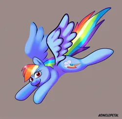 Size: 2048x2007 | Tagged: safe, artist:asinglepetal, derpibooru import, rainbow dash, pegasus, pony, beige background, female, flying, g4, image, jpeg, looking at you, mare, signature, simple background, smiling, solo, spread wings, sticker design, tail, wings