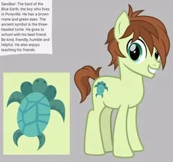 Size: 640x600 | Tagged: safe, artist:fizzled_kitty, derpibooru import, edit, sandbar, earth pony, pony, turtle, alternate cutie mark, alternate hair color, brown hair, cutie mark, g4, google translate, gray background, image, implied school of friendship, jpeg, male, multiple heads, recolor, reference sheet, simple background, solo, three heads