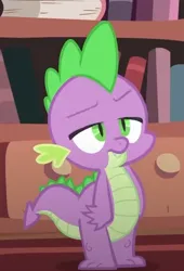 Size: 338x498 | Tagged: safe, derpibooru import, screencap, spike, dragon, lesson zero, season 2, annoyed, cropped, fangs, frown, g4, golden oaks library, image, library, lidded eyes, male, png, solo, spike is not amused, unamused