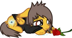 Size: 1056x569 | Tagged: safe, artist:lightningbolt, derpibooru import, ponified, pegasus, pony, .svg available, alex gaskarth, all time low, butt fluff, clothes, colt, crying, cutiespark, derpibooru exclusive, ear fluff, floppy ears, flower, foal, folded wings, g4, hair over one eye, hoof fluff, image, lidded eyes, long sleeves, looking down, lying down, male, png, prone, rose, sad, shirt, show accurate, simple background, solo, tail, tail feathers, transparent background, undershirt, vector, wings