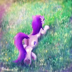 Size: 2792x2792 | Tagged: safe, artist:autumnsfur, derpibooru import, oc, oc:glitter stone, ponified, unofficial characters only, earth pony, pony, album cover, butt, butt fluff, chest fluff, coat markings, coordinates, cover art, credits, dawn, diamond, diamond cutie mark, ear fluff, earth pony oc, facing away, female, fluffy, full body, grass, gray coat, gray fur, hoof heart, hooves, image, inspired by a song, latitude and longitude, lineless, location, long mane, long tail, looking at something, lying down, mare, musician, outdoors, parody, plot, png, pony oc, porter robinson, prone, purple hair, purple mane, rear, socks (coat marking), solo, tail, underhoof, unshorn fetlocks