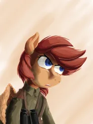 Size: 1536x2048 | Tagged: safe, artist:soursweet cheese, derpibooru import, pegasus, pony, binoculars, clothes, commander, friendship is a lie, image, military pony, military uniform, png, solo, uniform