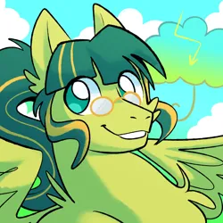 Size: 2000x2000 | Tagged: safe, artist:hydroflorix, derpibooru import, oc, unofficial characters only, pegasus, pony, bust, cloud, glasses, grin, image, male, outdoors, pegasus oc, png, smiling, solo, stallion, wings