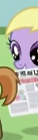 Size: 38x140 | Tagged: safe, derpibooru import, screencap, button mash, grape pop, pony, ponyville confidential, cropped, cute, female, filly, foal, foal free press, g4, image, mouth hold, newspaper, not dinky hooves, picture for breezies, png, tail