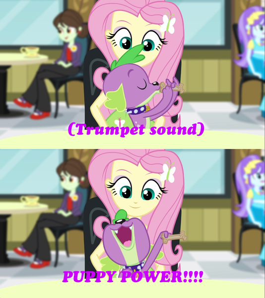 Size: 1100x1236 | Tagged: safe, derpibooru import, edit, edited screencap, screencap, aqua blossom, fluttershy, sophisticata, spike, dog, equestria girls, g4, image, jpeg, my little pony equestria girls: rainbow rocks, scooby-doo!, scrappy doo, spike the dog