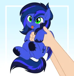 Size: 4822x5000 | Tagged: safe, artist:jhayarr23, derpibooru import, oc, oc:guard cobalt flash, unofficial characters only, bat pony, pony, :p, bat pony oc, bat wings, cute, hand, holding a pony, image, png, smol, tongue out, wings
