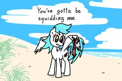 Size: 1500x1002 | Tagged: safe, artist:purblehoers, derpibooru import, oc, oc:crabcakes, pegasus, pony, squid, beach, cloud, female, grass, image, mare, ocean, png, sand, solo, spread wings, text, water, wings