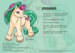 Size: 842x595 | Tagged: safe, artist:solkatt, derpibooru import, oc, oc:birdsong (solkatt), unofficial characters only, earth pony, pony, comic:falling stars, g1, g1 oc, green background, image, jpeg, male, reference sheet, simple background, solo, stallion, standing, unshorn fetlocks, zoom layer