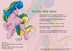 Size: 842x595 | Tagged: safe, artist:solkatt, derpibooru import, oc, oc:drink the dew, unofficial characters only, earth pony, pony, comic:falling stars, g1, eye clipping through hair, female, g1 oc, image, jpeg, mare, pink background, reference sheet, simple background, solo, zoom layer