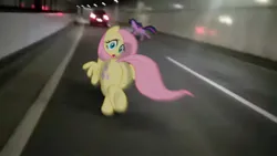 Size: 1080x608 | Tagged: safe, ponerpics import, fluttershy, twilight sparkle, pony, butt, car, flutterbutt, image, irl, jpeg, large butt, photo, ponies in real life, running, tunnel