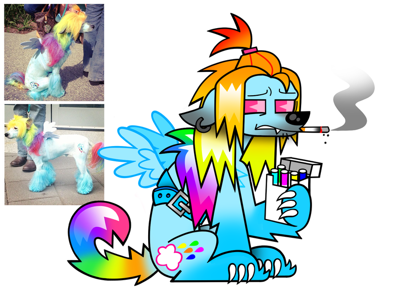 Size: 1600x1200 | Tagged: safe, artist:beetalz, derpibooru import, rainbow dash, dog, alternate design, cigarette, dogified, image, irl, irl dog, photo, png, reference used, simple background, smoking, species swap, twitterina design, ugly, white background