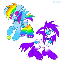 Size: 1089x1090 | Tagged: safe, artist:beetalz, derpibooru import, rainbow dash, rarity, dog, dogified, duo, image, png, simple background, smiling, sparkledog, species swap, white background