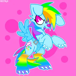 Size: 827x831 | Tagged: safe, artist:beetalz, derpibooru import, rainbow dash, dog, pony, dogified, fake wings, frown, image, png, smiling, solo, sparkledog, species swap