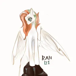 Size: 5000x5000 | Tagged: safe, artist:ran01q, derpibooru import, oc, unofficial characters only, pegasus, pony, female, image, mare, orange mane, pegasus oc, png, simple background, solo, white background, white coat, wings