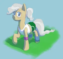 Size: 1100x1026 | Tagged: safe, artist:hitsuji, derpibooru import, mayor mare, pony, booty shorts, clothes, image, leg warmers, looking at you, png, ponytail, shirt, simple background, solo