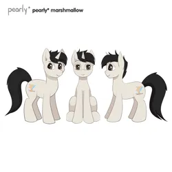 Size: 1200x1200 | Tagged: safe, artist:pearly* marshmallow, derpibooru import, oc, oc:pearly* marshmallow, unofficial characters only, pony, unicorn, brown eyes, horn, image, looking at you, male, png, reference sheet, sideview, simple background, sitting, solo, solo male, stallion, standing, unicorn oc