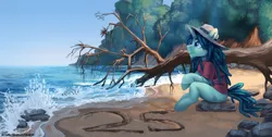Size: 3000x1512 | Tagged: safe, artist:jedayskayvoker, derpibooru import, oc, ponified, unnamed oc, unofficial characters only, pony, unicorn, beach, beard, birthday, clothes, facial hair, goatee, high res, horn, image, lineless, long mane, long mane male, ocean, png, sand, scenery, shirt, sitting, solo, t-shirt, unicorn oc, water, wave