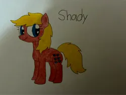 Size: 4032x3024 | Tagged: safe, artist:melissahutchinson23, derpibooru import, shady, earth pony, pony, g1, closed mouth, colored pencil drawing, cute, female, g1 shadybetes, g1 to g4, g1betes, g4, generation leap, image, jpeg, mare, simple background, smiling, solo, traditional art, white background