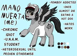 Size: 2745x2000 | Tagged: safe, artist:mano_m, derpibooru import, oc, unofficial characters only, pegasus, blue background, cap, colored hooves, cyan background, hat, hooves, image, pegasus oc, png, punk, raised hoof, reference sheet, simple background, sleeveless, solo, spanish, spread wings, text, wings