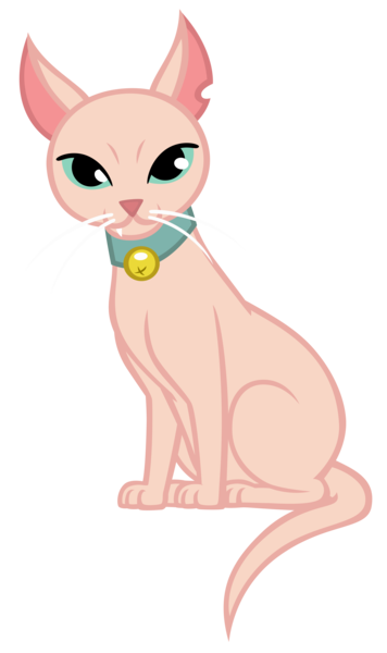 Size: 4521x7629 | Tagged: safe, artist:andoanimalia, derpibooru import, cat, equestria girls, g4, image, my little pony equestria girls, my little pony equestria girls: better together, png, simple background, sphynx cat, transparent background, vector