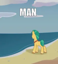 Size: 360x397 | Tagged: safe, artist:prixy05, derpibooru import, hitch trailblazer, earth pony, pony, g5, my little pony: tell your tale, beach, caption, image, image macro, jpeg, low quality, male, man (meme), meme, solo, stallion, text