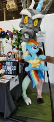 Size: 1832x4080 | Tagged: safe, artist:littlefairyswonders, artist:straycatcrafts, derpibooru import, discord, rainbow dash, pony, g4, holding a pony, image, irl, jpeg, photo, plushie, pyrkon, smiling