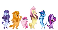 Size: 3762x1946 | Tagged: safe, artist:rr29578979, derpibooru import, applejack, fluttershy, pinkie pie, rainbow dash, rarity, twilight sparkle, dog, pomeranian, afghan hound, appledog, arm scar, bandage, bandaged tail, bandaid, bandaid on nose, beanbrows, bipedal, book, cheek fluff, chest fluff, coat markings, collar, colored muzzle, colored pinnae, crossed arms, cute, cute little fangs, dogified, ear piercing, earring, elbow fluff, eye scar, eyebrows, eyeshadow, facial markings, facial scar, fangs, female, flutterdog, freckles, gradient legs, group, image, jewelry, leg band, littlest pet shop, makeup, mane six, muzzle fluff, my little x, nose scar, one eye closed, open mouth, open smile, pale belly, parody, paw pads, paws, piercing, png, puppy pie, rainbow dog, raridog, ruff, scar, sextet, simple background, smiling, socks (coat marking), species swap, standing, star (coat marking), twilight barkle, white background, wink, zoe trent