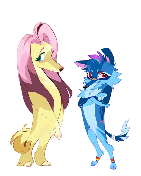 Size: 1399x1751 | Tagged: safe, artist:rr29578979, derpibooru import, fluttershy, rainbow dash, dog, afghan hound, bandage, bandaged tail, bandaid, bandaid on nose, bipedal, cheek fluff, chest fluff, coat markings, crossed arms, dogified, duo, duo female, ear piercing, earring, eye scar, facial scar, female, flutterdog, image, jewelry, leg band, pale belly, paws, piercing, png, rainbow dog, scar, simple background, socks (coat marking), species swap, tallershy, white background