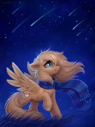 Size: 2000x2667 | Tagged: safe, artist:scheadar, artist:scheadar_sfw, derpibooru import, oc, oc:mirta whoowlms, unofficial characters only, pegasus, pony, clothes, female, grass, high res, image, jpeg, looking up, mare, night, night sky, outdoors, pegasus oc, raised hoof, scarf, shooting star, sky, smiling, solo, spread wings, stars, tail, wings