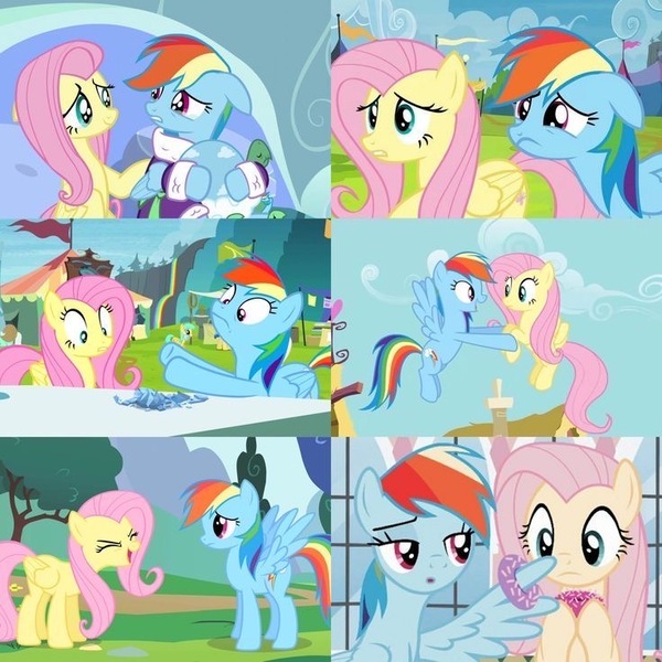 Size: 736x736 | Tagged: episode needed, safe, derpibooru import, screencap, fluttershy, rainbow dash, tank, pegasus, pony, tortoise, sonic rainboom (episode), tanks for the memories, the ending of the end, bathrobe, clothes, collage, crying, donut, duo focus, female, food, g4, image, jpeg, mare, robe, trade ya!, trio