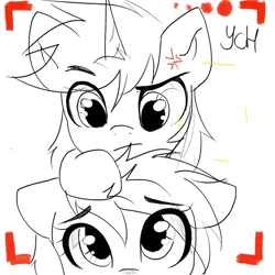 Size: 2048x2048 | Tagged: safe, derpibooru import, oc, earth pony, pegasus, pony, unicorn, commission, couple, horn, image, png, selfie, ych result