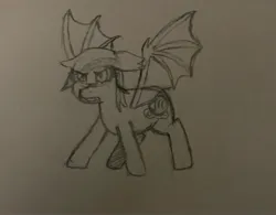 Size: 3024x2363 | Tagged: safe, artist:supersonicrainboom, derpibooru import, oc, oc:echo, bat pony, atg 2024, image, jpeg, newbie artist training grounds, pencil drawing, sketch, solo, traditional art