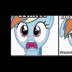 Size: 500x500 | Tagged: safe, derpibooru import, edit, rainbow dash, pony, animated, image, loud, low quality, open mouth, shitposting, solo, sound warning, the follower lost their life, webm