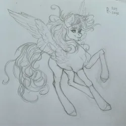 Size: 3000x3000 | Tagged: safe, artist:raychelrage, derpibooru import, derpy hooves, pegasus, pony, image, jpeg, simple background, sketch, solo