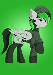 Size: 1200x1700 | Tagged: safe, artist:hovawant, derpibooru import, oc, oc:nighty, unofficial characters only, pegasus, beanie, clothes, gradient background, green and black mane, green and black tail, green background, green eyes, hat, image, looking at you, male, pegasus oc, png, shirt, simple background, socks, solo, wings