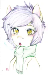 Size: 2428x3799 | Tagged: safe, artist:broccolidad, derpibooru import, oc, unofficial characters only, pony, :o, breath, clothes, colored pencil drawing, image, open mouth, png, scarf, solo, traditional art