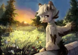 Size: 1280x904 | Tagged: safe, artist:jackiesenvy, derpibooru import, oc, unofficial characters only, pegasus, pony, bow, choker, colored wings, colored wingtips, ear tufts, field, flower, image, jpeg, looking at you, looking back, looking back at you, sitting, solo, spread wings, sunset, tail, tail bow, wings