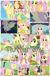 Size: 1024x1536 | Tagged: safe, artist:princessemerald7, derpibooru import, angel bunny, basil, cloud kicker, discord, fluttershy, merry may, rarity, spring melody, sprinkle medley, bat pony, dragon, pegasus, pony, rabbit, a bird in the hoof, bats!, dragonshy, g4, griffon the brush off, hurricane fluttershy, season 1, season 2, season 4, animal, bat ponified, clothes, collage, dress, female, filly, filly fluttershy, flutterbat, gala dress, hub logo, image, jpeg, logo, mare, race swap, the hub, younger