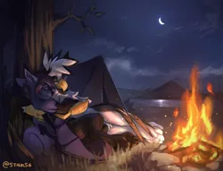 Size: 2000x1526 | Tagged: safe, artist:st4rs6, derpibooru import, oc, oc:nyn indigo, oc:ospreay, gryphon, hybrid, bat wings, beak, campfire, camping, cloud, commission, cozy, crescent moon, cuddling, cute, grass, hug, image, jpeg, moon, mountain, night, outdoors, paws, reflection, river, scenery, smiling, stars, tree, water, watermark, wholesome, wings